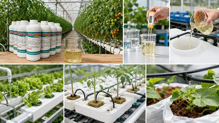 Key-Considerations-When-Using-Balanced-Liquid-Fertilizer-in-Greenhouses