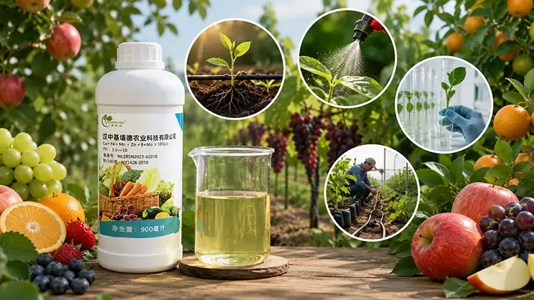 How-do-water-soluble-micronutrient-fertilisers-work-Principles-and-application How-do-water-soluble-micronutrient-fertilisers-work-Principles-and-application