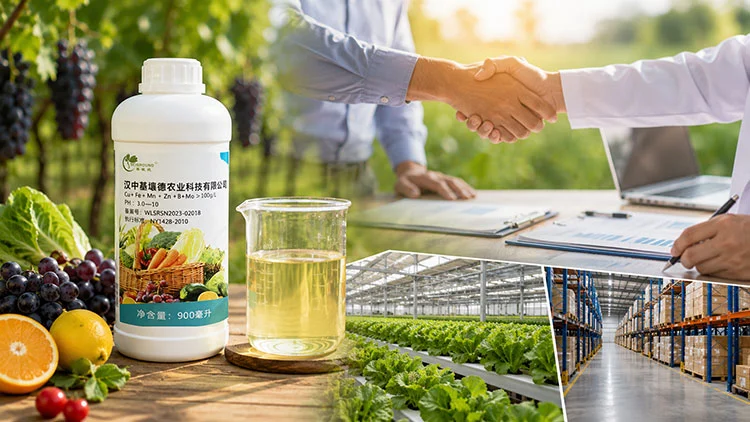Procurement-Insights-Selecting-and-Buying-Water-Soluble-Micronutrient-Fertilisers Procurement-Insights-Selecting-and-Buying-Water-Soluble-Micronutrient-Fertilisers