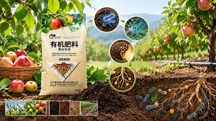 Why-Choose-Slow-Release-Organic-Fertiliser-with-120-Day-Efficiency Why-Choose-Slow-Release-Organic-Fertiliser-with-120-Day-Efficiency