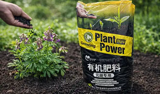 Key Benefits of Cordydalis Tuber Specialized Organic Fertilizer