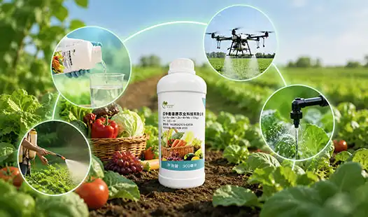 How to Apply Micronutrient Fertilizers Effectively?