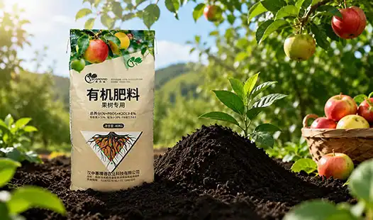 Why Choose a Fruit Tree Organic Fertilizer Manufacturer You Can Trust?