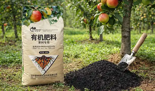 How Often Should You Apply Organic Fertilizer to Fruit Trees?
