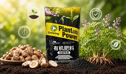 Cordydalis Tuber Organic Fertilizer Guide: Key Benefits