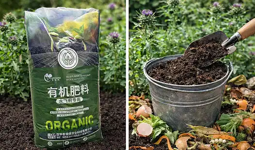 Organic Fertilizer for Thistle: Natural vs DIY Approaches