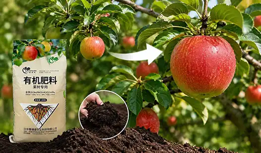 Can Organic fertilizer for fruit trees Increase Fruit Size Naturally?