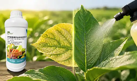 Can Foliar Fertilizers Correct Nutrient Deficiencies Faster?