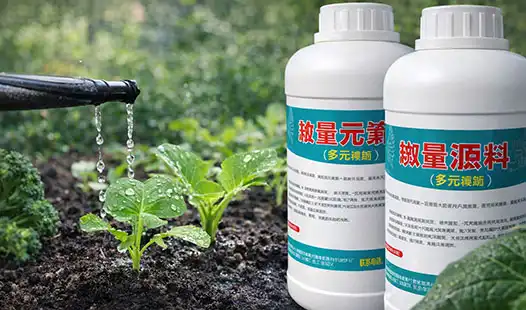 How Often Should You Apply Water‑Soluble Fertilizers?
