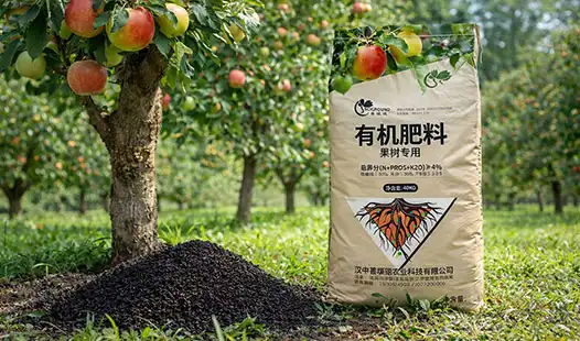 Organic Fertilizer Programs for Year-Round Tree Nutrition