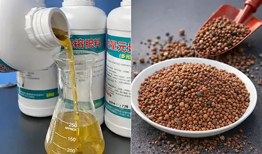 Micronutrient Water-Soluble Fertilizer vs. Granular Fertilizer