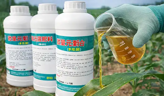 Affordable Leaf Application Fertilizers for Every Grower