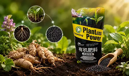 What Makes Cordydalis Tuber Plant Fertilizer a Premium Choice?