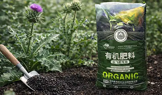 How to Choose Organic Fertilizer for Thistle Plants？