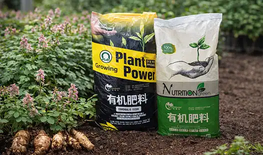 Specialized vs General Organic Fertilizer for Cordydalis Tuber