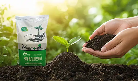 Why Work with a Certified Organic Fertilizer Supplier for Soil Health?