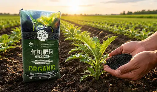 Which Silybum marianum Specialized Organic Fertilizer Works Best for Fields?