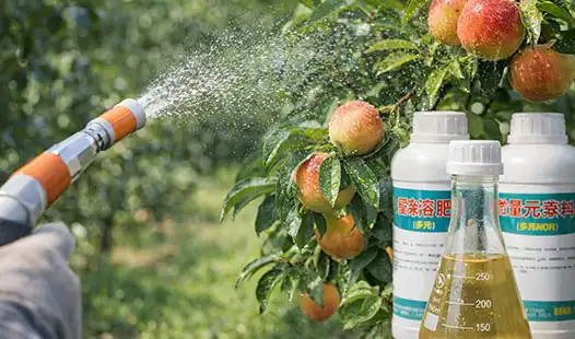 How Often Should You Apply Foliar Fertilizers?