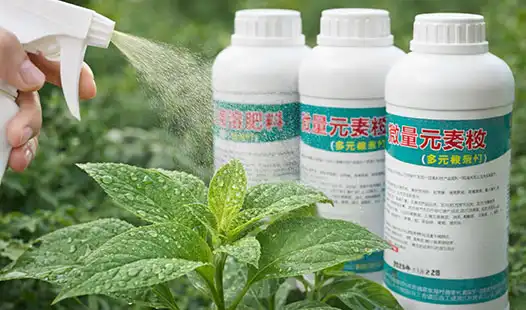 Leaf Application Fertilizers That Improve Plant Health