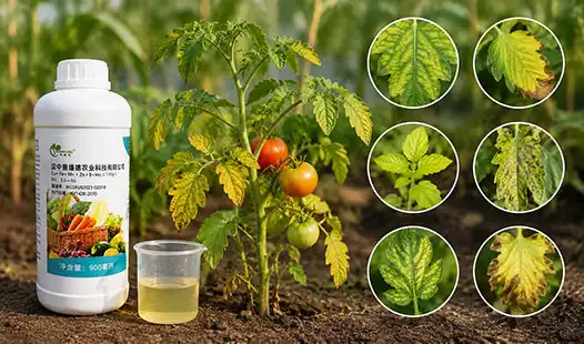 What Are the Signs Your Crops Need Micronutrient Fertilizers?