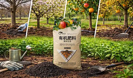 Expert Tips: When to Apply Organic Fertilizer for Fruit Trees