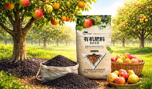 How Fertilizer Impacts Fruit Tree Health and Productivity?