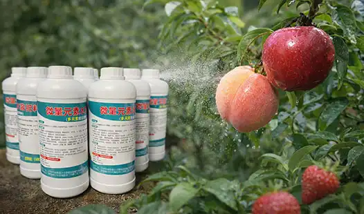 Can Foliar Spraying Increase Fruit Quality and Shelf Life?