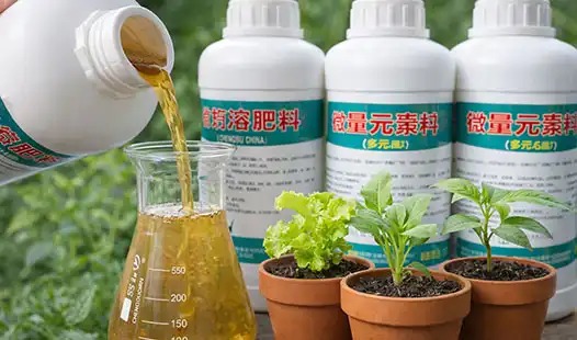 Why Balanced Liquid Fertilizers Are Worth the Investment？