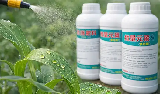 Can Foliar Fertilizers Improve Nutrient Absorption?