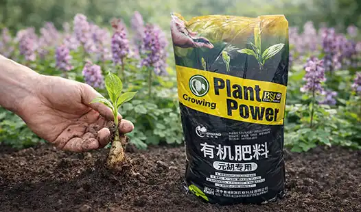 What Are the Key Benefits of Gastrodia Specialized Fertilizer?