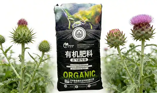 Organic vs Conventional: Silybum marianum Fertilizer Comparison
