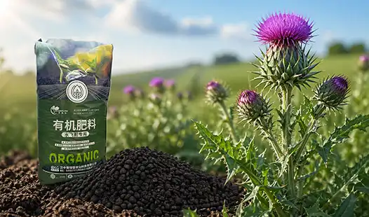 Organic Fertilizer for Thistle: Do You Know These Benefits?