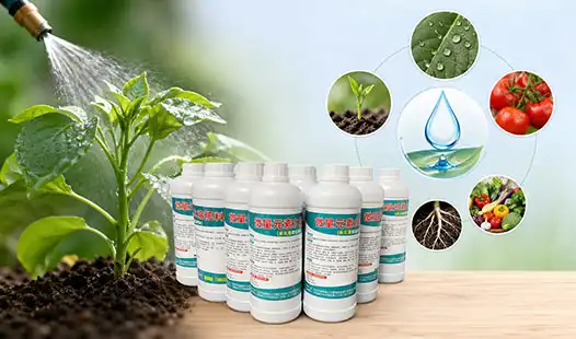 Are Water-Soluble Fertilizers Safe and Efficient?