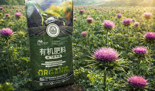 Best Silybum marianum Specialized Organic Fertilizer for High Yield