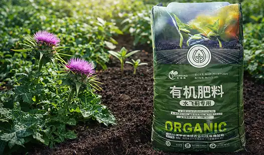 Does Silybum marianum Organic Fertilizer Boost Soil Health?