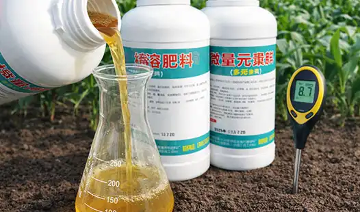 Micronutrient Fertilizers for Precision Agriculture Needs