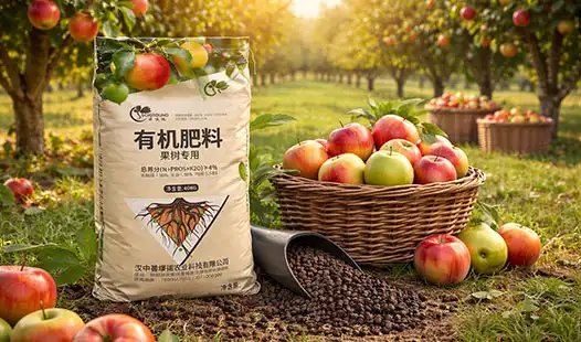 Organic Fertilizer for Fruit Trees: Grow Bigger Sweet Harvests