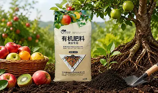 What Are the Benefits of Wholesale Fruit Tree Organic Fertilizer?