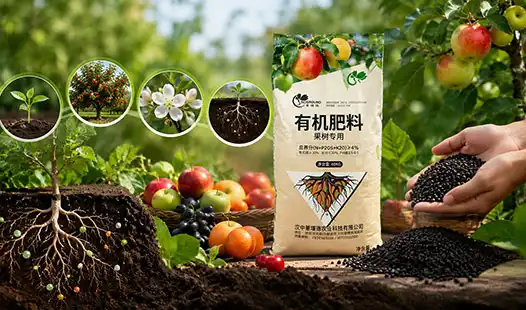 What Are the Key Benefits of Wholesale Fruit Tree Organic Fertilizer?