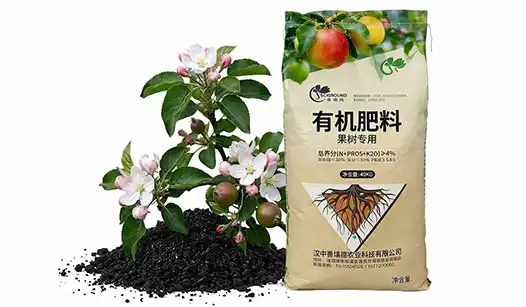 Why Choose fruit tree fertilizer for Healthier Fruit Production?