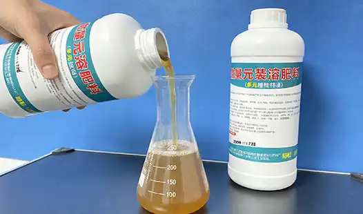 Balanced Liquid Fertilizer vs. Single-Nutrient Foliar Fertilizer