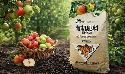 Can Fruit Tree Fertilizer Improve Fruit Size and Taste?