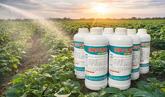 What Is the Best Time to Apply Foliar Fertilizers?