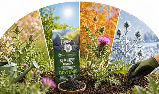Organic Fertilizer for Thistle: Seasonal Feeding Guide