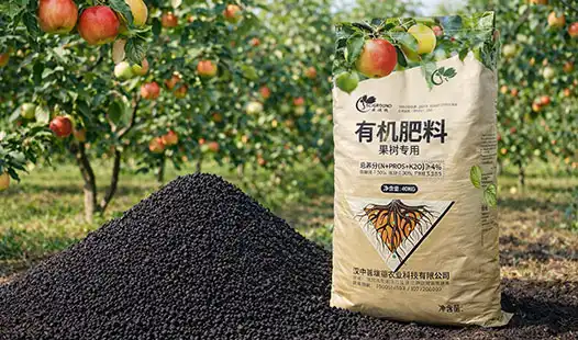 What Is the Best Fruit Tree Organic Fertilizer for High Yields?