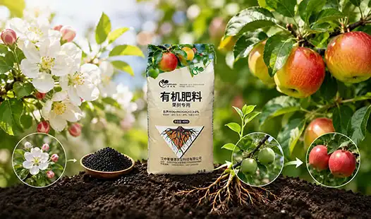 Can fruit tree fertilizer Increase Blossom and Fruit Set Rates?