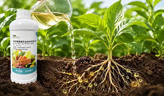 Why Do Farmers Prefer Balanced Liquid Fertilizer for Rapid Absorption?