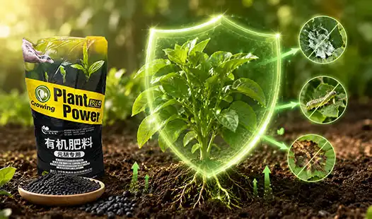 How Does Cordydalis Tuber Organic Fertilizer Improve Plant Resistance?