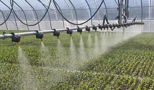 Are Micronutrients Water-Soluble Fertilizers Worth the Investment?