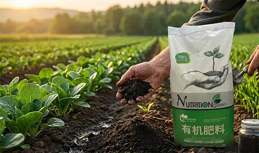 Eco-Friendly Fertilizer for Healthier Soil and Stronger Crops